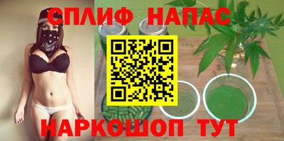 крисы Владикавказ