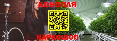 индика Владивосток
