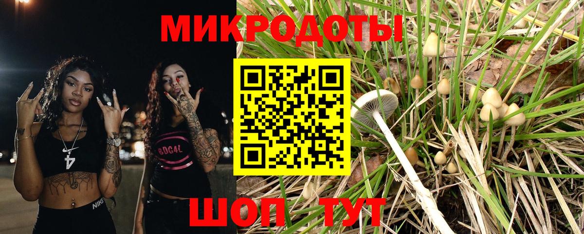 Псилоцибиновые грибы Magic Shrooms Грозный