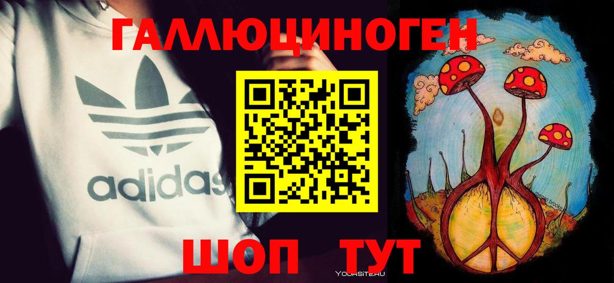 Галлюциногенные грибы Psilocybine cubensis  Вход с VPN  Грозный 